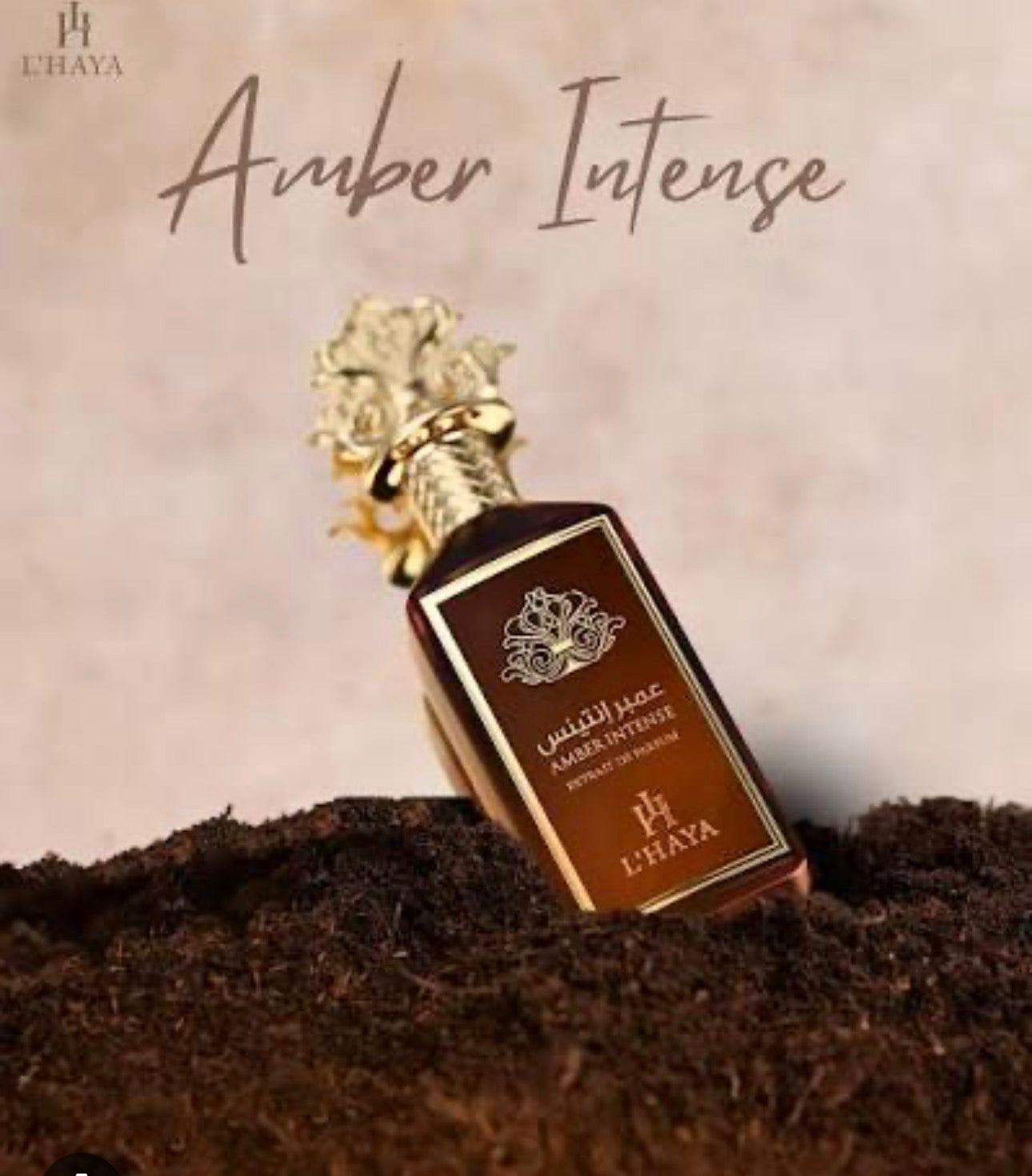 L haya Amber Intense