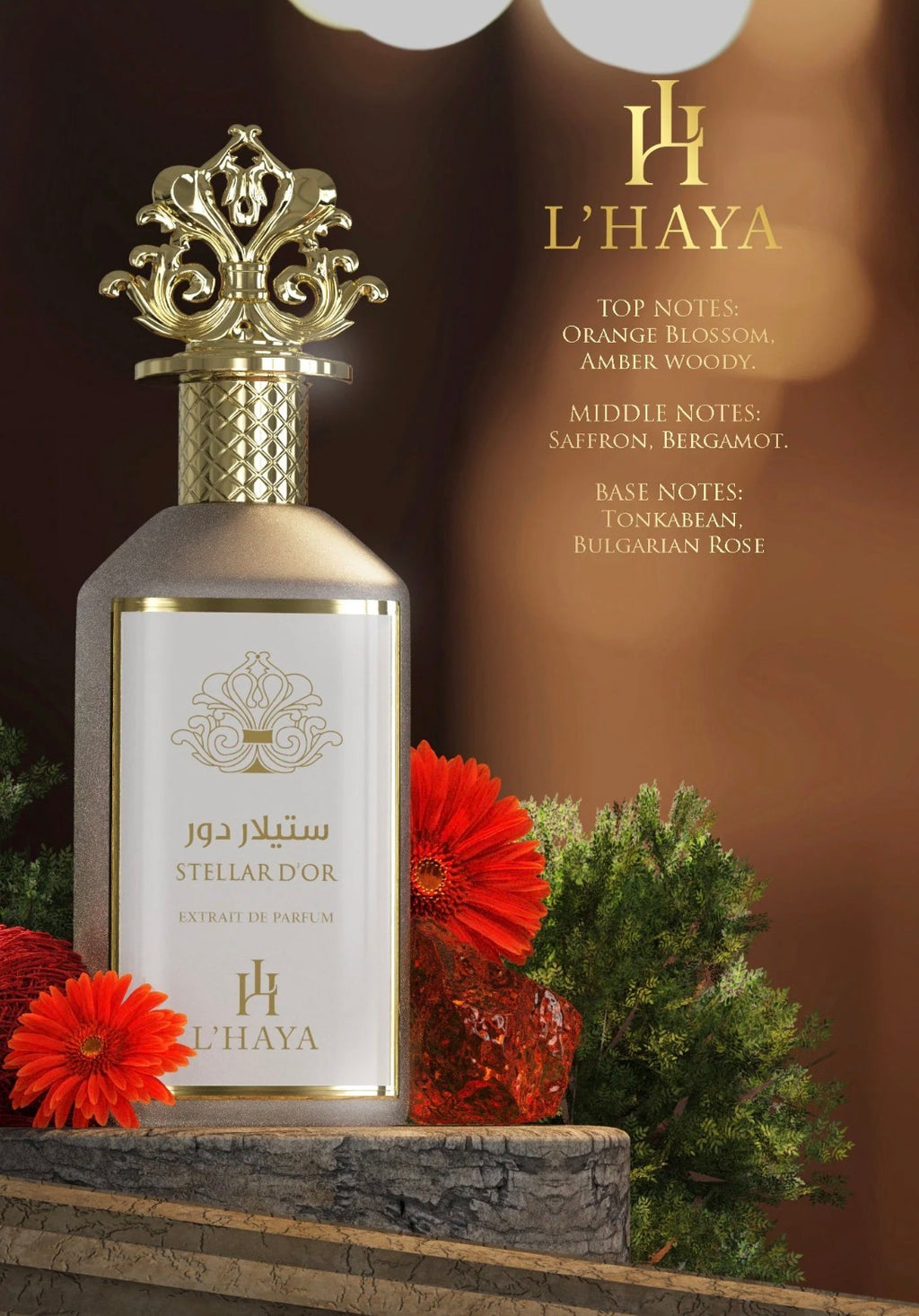 L haya Stella D’or