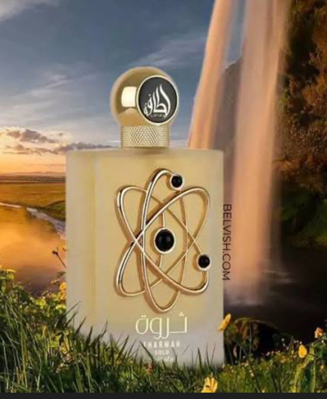 Tharwah Gold by Lattafa