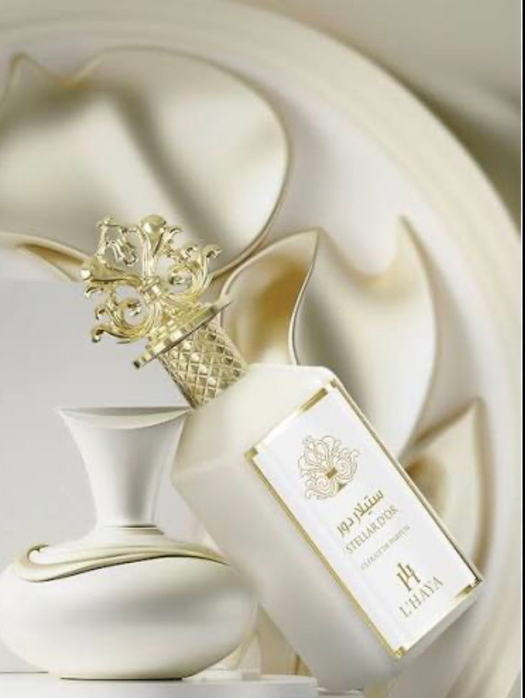 L haya Stella D’or