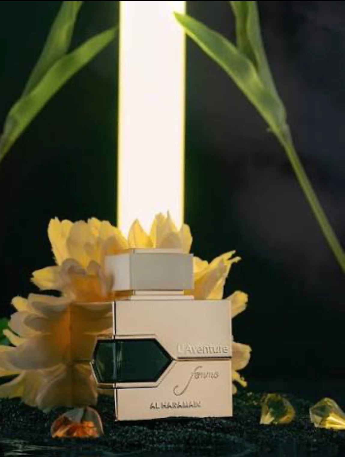 L Adventure Alharamain