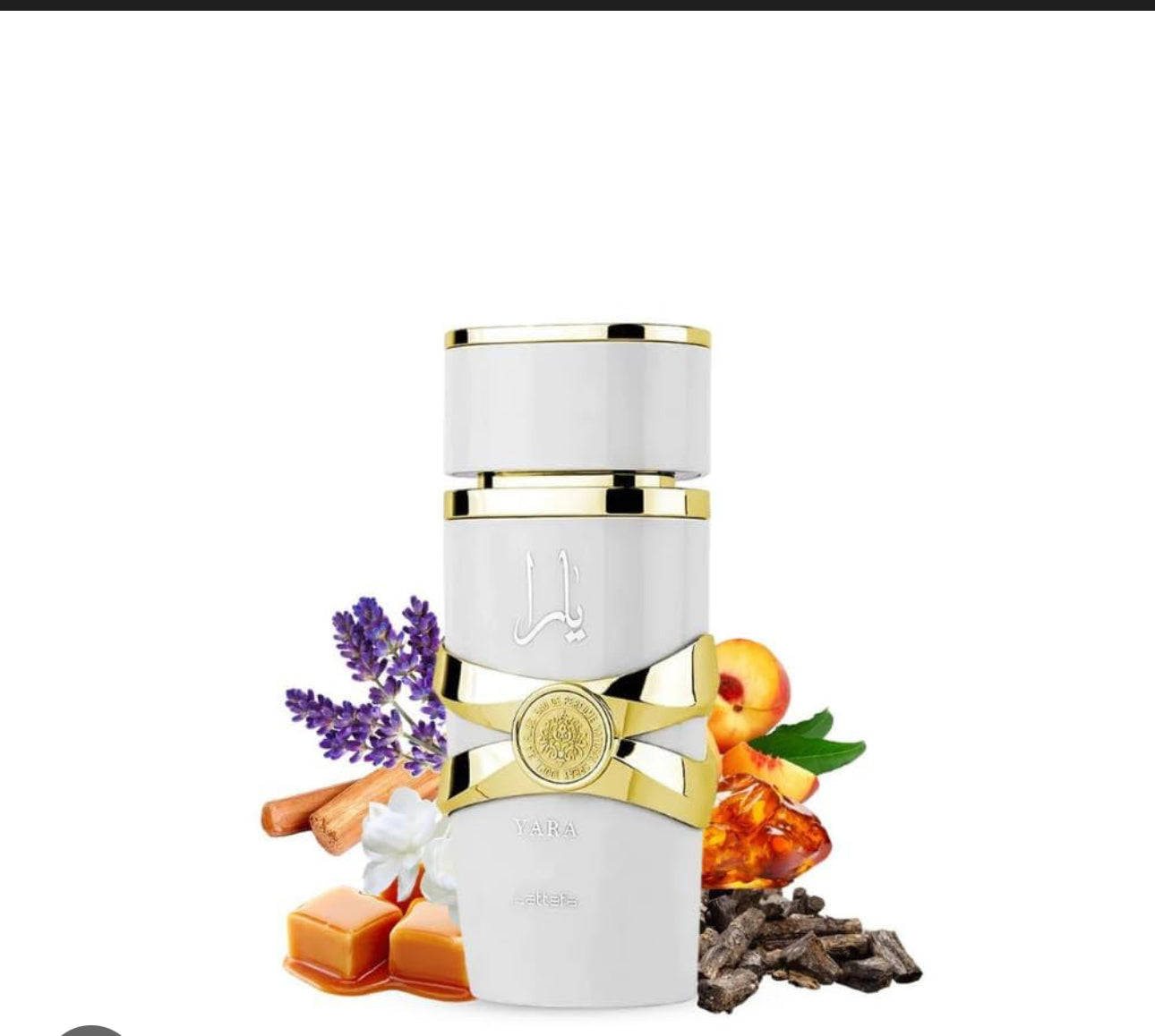 Untitled Oct12_12:04