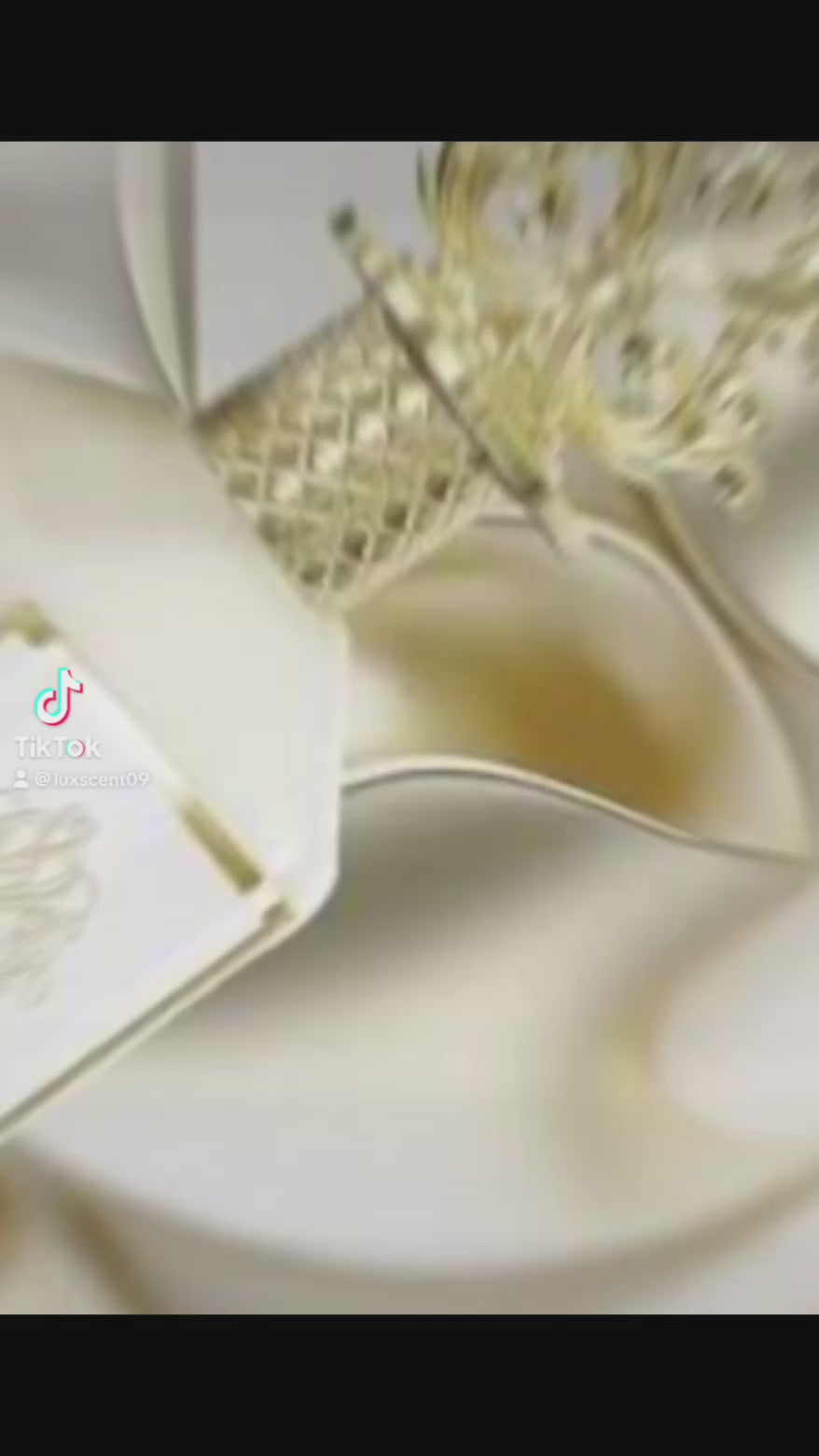 L haya Stella D’or